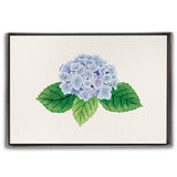 Cardthartic - Hydrangea Boxed Notes