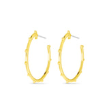 Amanda Blu Gold Dorothy Polished Earrings