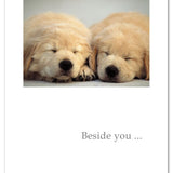Cardthartic - Two Golden Pups Sleeping