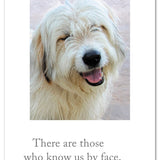 Cardthartic - Smiling Card Borthday Card