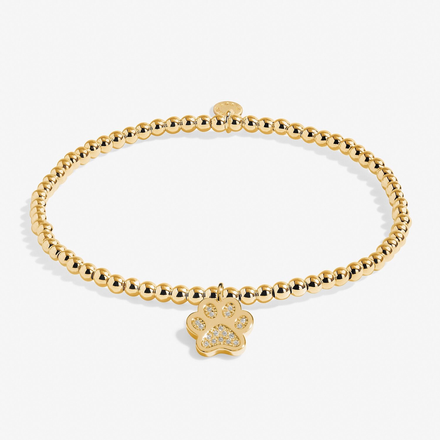 Gold bracelet with a paw charm on a white background. Available at Be Charmed