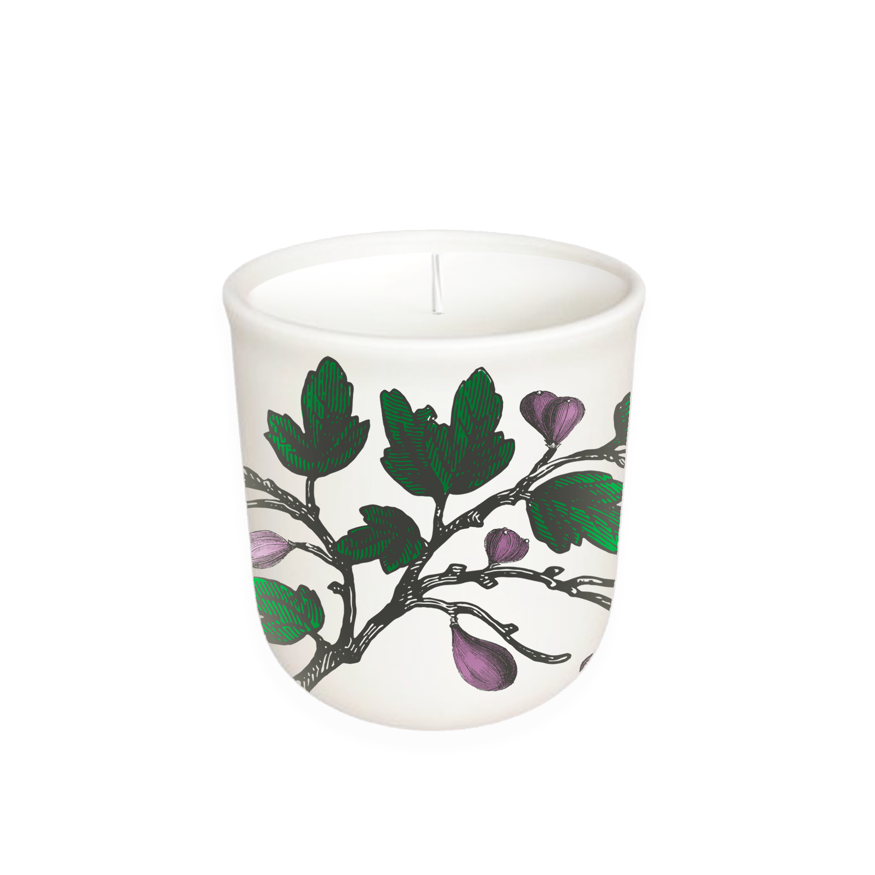Annapolis Candle Terrace Fig Tree Boxed Candle featuring a blend of fig, amber, and pepper in a 10oz soy wax candle, available at Be Charmed