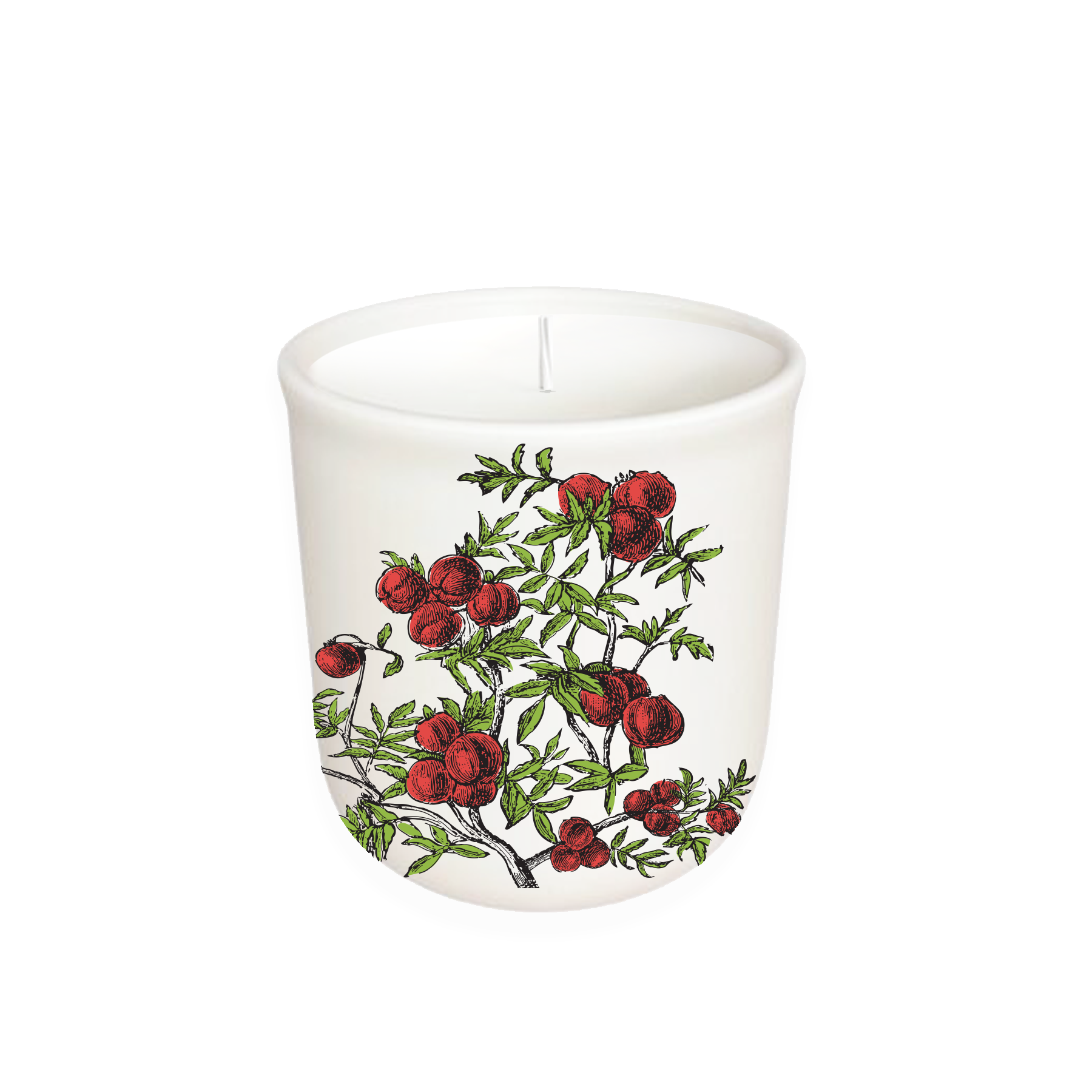 Annapolis Candle Terrace Tomato Boxed Candle featuring a fresh blend of tomato leaf, lemon peel, and basil in a 10oz soy wax candle, available at Be Charmed