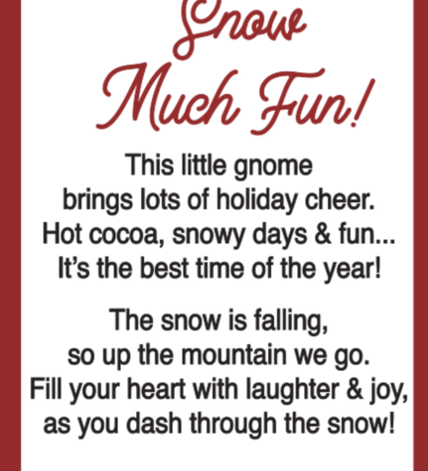 Card for ssorted Ganz Snow Much Fun Gnome charms including a gnome with hot cocoa and a gnome on skis. Available at Be Charmed