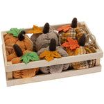 Decorative pumpkins with leaves in a wooden crate on a white background. Available at Be Charmed