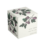 Box picture of Annapolis Candle Terrace Fig Tree Boxed Candle featuring a blend of fig, amber, and pepper in a 10oz soy wax candle, available at Be Charmed