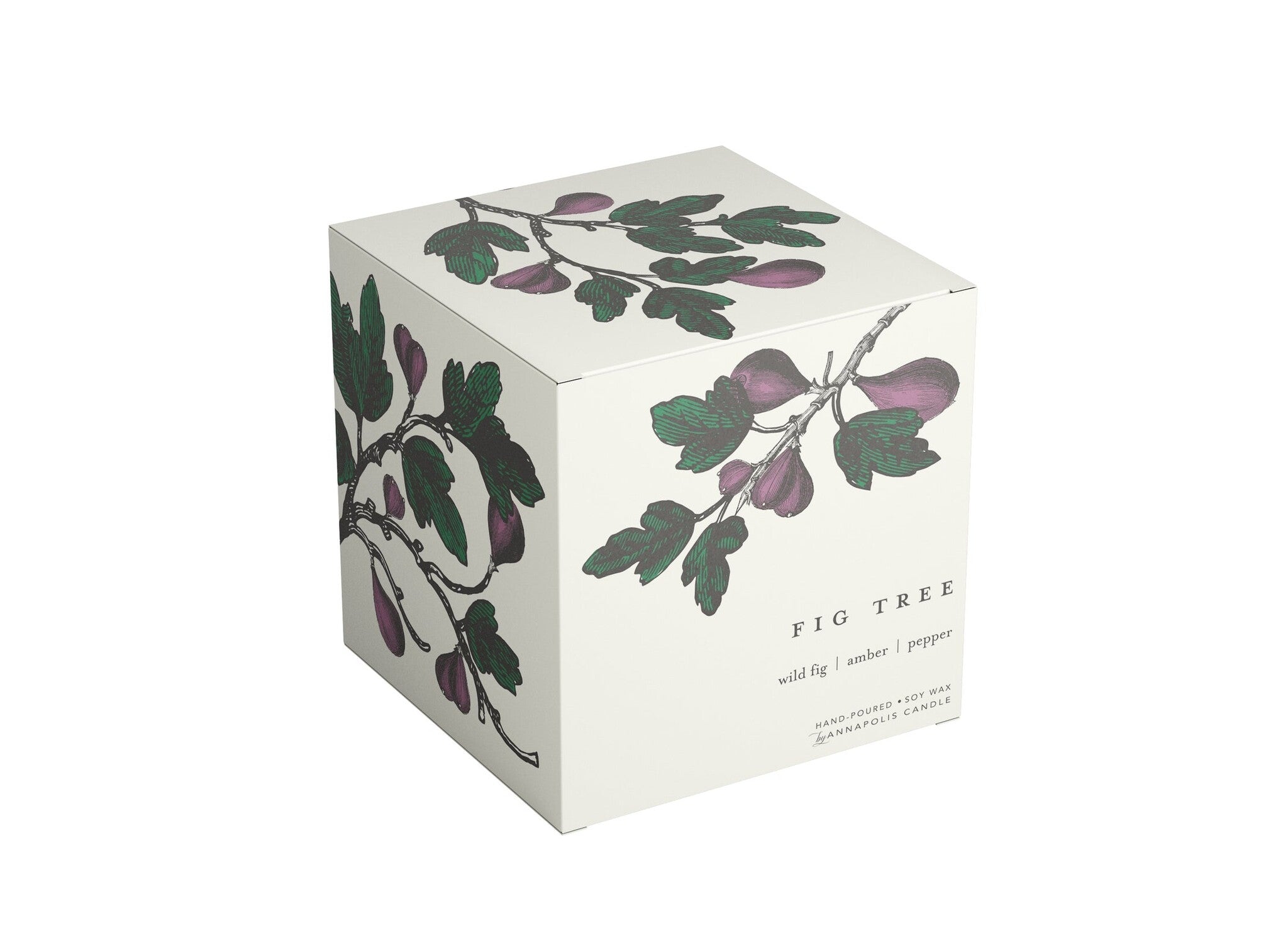 Box picture of Annapolis Candle Terrace Fig Tree Boxed Candle featuring a blend of fig, amber, and pepper in a 10oz soy wax candle, available at Be Charmed