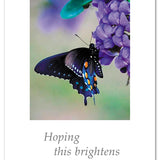 Cardthartic - Butterfly on Purple Hydrangea Card