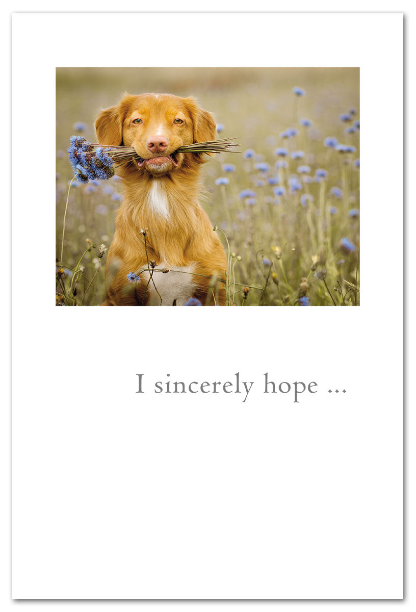 Thank You Card – cute dog holding a bouquet of flowers with a sweet thank you message, perfect for animal lovers and heartfelt thanks, available at Be Charmed