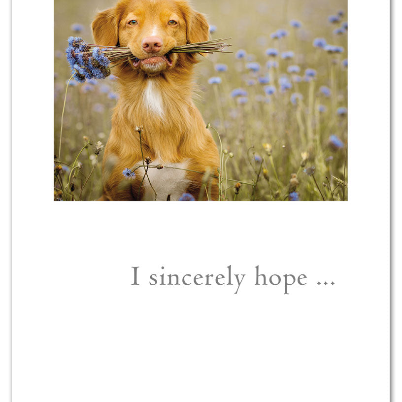Thank You Card – cute dog holding a bouquet of flowers with a sweet thank you message, perfect for animal lovers and heartfelt thanks, available at Be Charmed