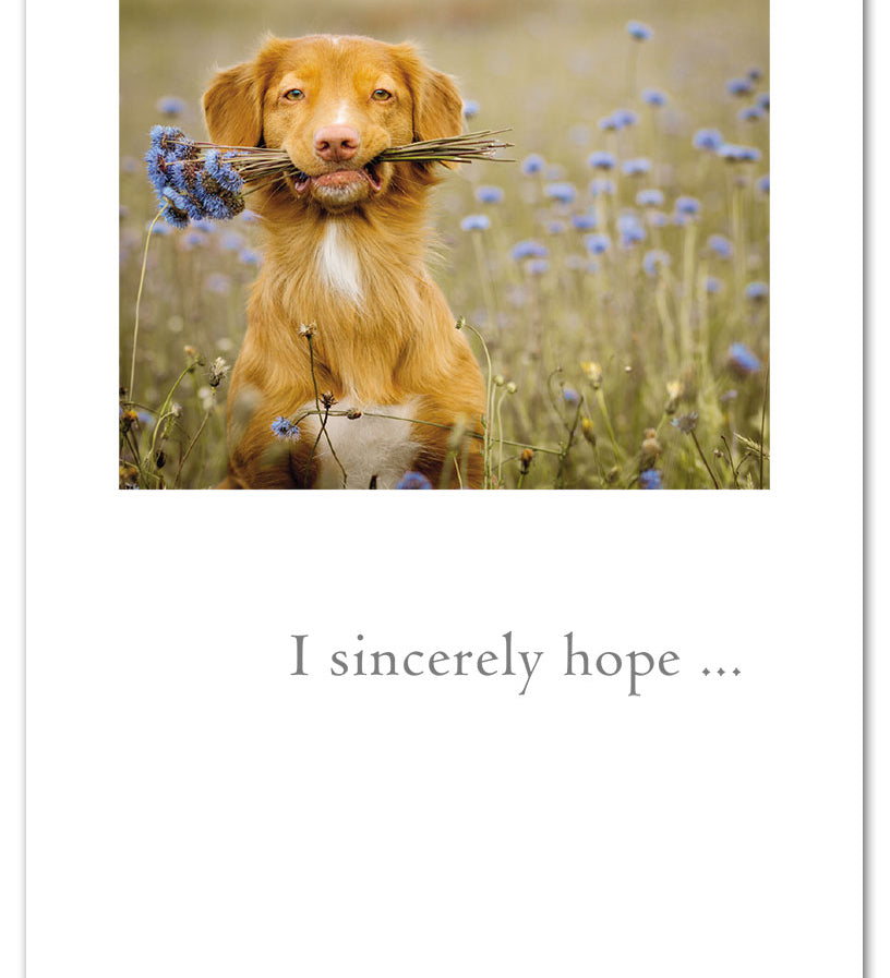 Thank You Card – cute dog holding a bouquet of flowers with a sweet thank you message, perfect for animal lovers and heartfelt thanks, available at Be Charmed