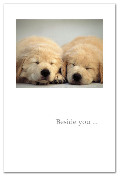 Adorable anniversary card from Cardthartic featuring two sleeping puppies cuddled together, symbolizing love and companionship—available at Be Charmed.