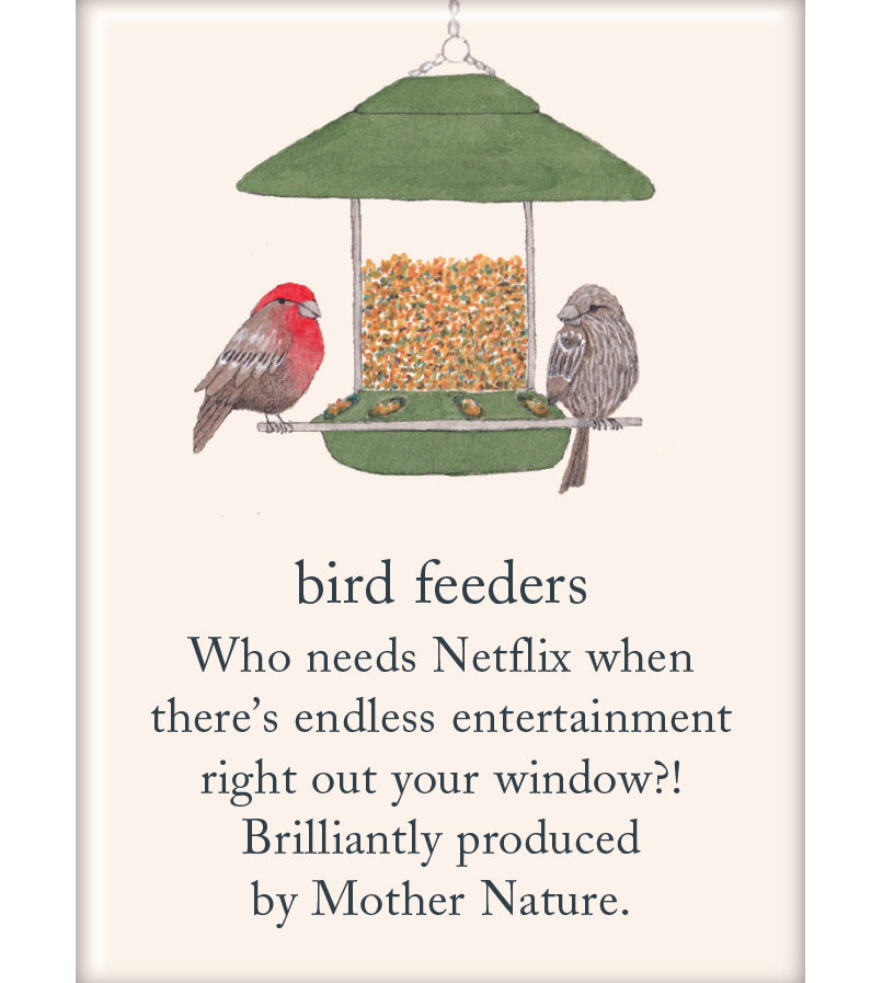 Magnet Bird Feeders by Cardthartic featuring decorative magnets inspired by bird feeders; available at Be Charmed