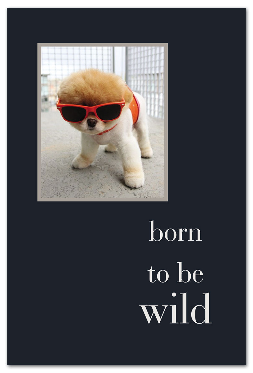 Birthday Card – bold “Born to Be Wild” design with adventurous imagery and an energetic birthday message, perfect for free spirits, available at Be Charmed