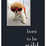 Birthday Card – bold “Born to Be Wild” design with adventurous imagery and an energetic birthday message, perfect for free spirits, available at Be Charmed