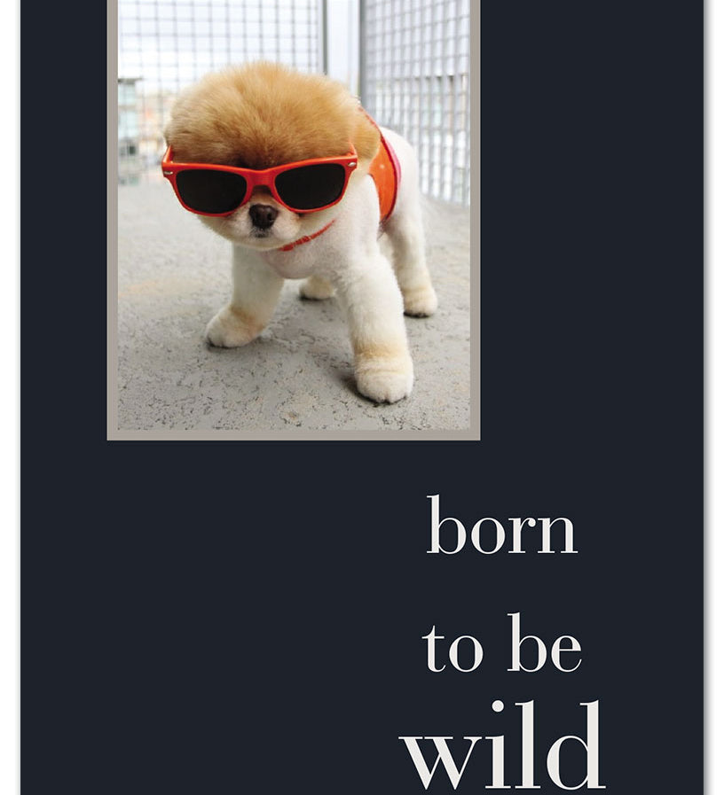 Birthday Card – bold “Born to Be Wild” design with adventurous imagery and an energetic birthday message, perfect for free spirits, available at Be Charmed