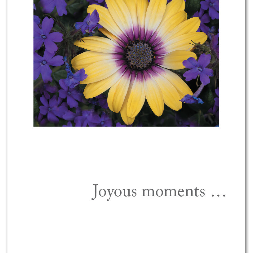 Birthday Card – elegant Joyous Moments design with warm message celebrating a loved one’s special day, heartfelt and artistic, available at Be Charmed