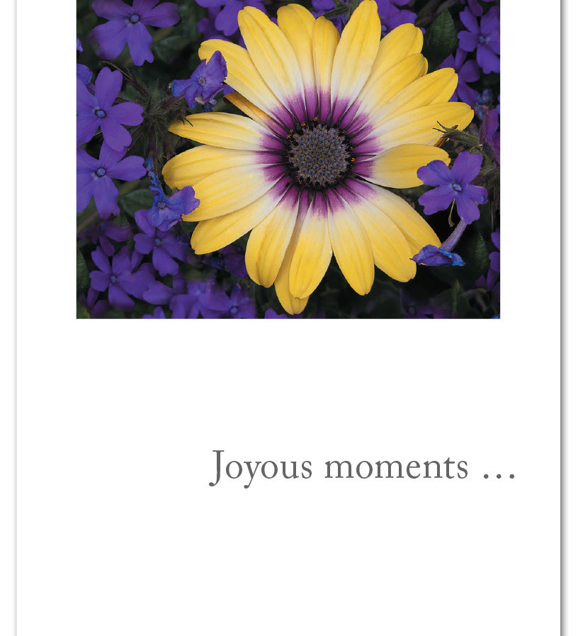 Birthday Card – elegant Joyous Moments design with warm message celebrating a loved one’s special day, heartfelt and artistic, available at Be Charmed