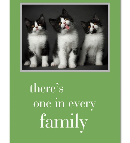 Be Charmed birthday card “One in Every Family” – whimsical design with playful typography and colorful accents, perfect for celebrating loved ones, available at Be Charmed.