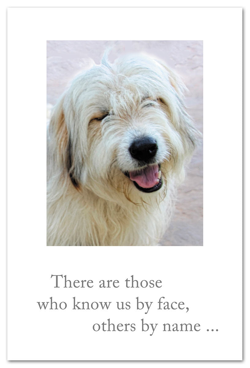 A colorful birthday greeting card featuring a smiling golden retriever illustration, designed by Cardthartic, perfect for dog lovers—available at Be Charmed.
