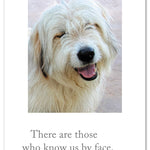 A colorful birthday greeting card featuring a smiling golden retriever illustration, designed by Cardthartic, perfect for dog lovers—available at Be Charmed.
