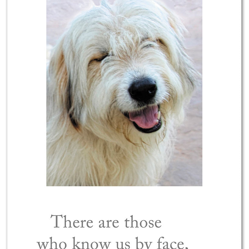 A colorful birthday greeting card featuring a smiling golden retriever illustration, designed by Cardthartic, perfect for dog lovers—available at Be Charmed.
