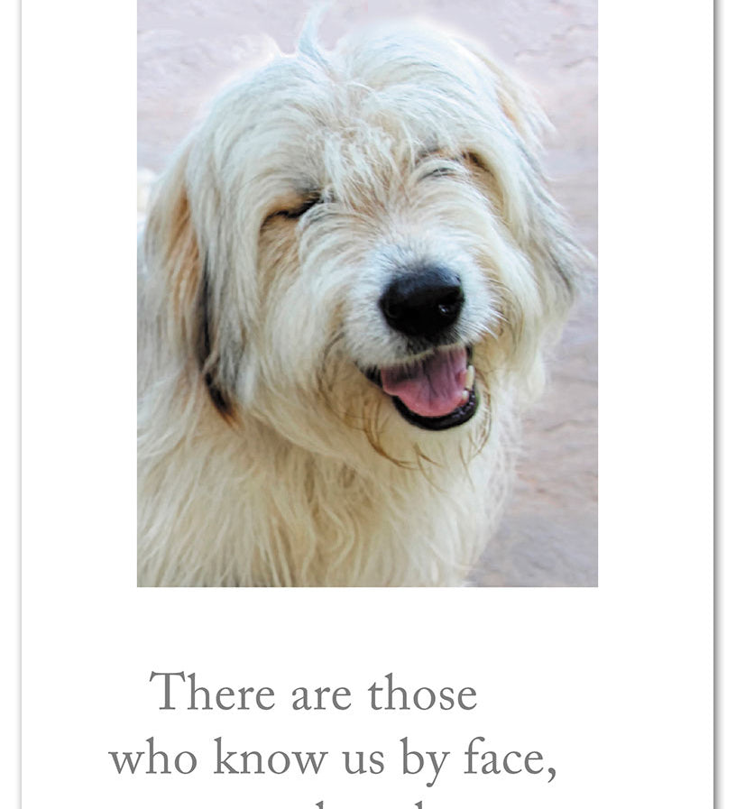 A colorful birthday greeting card featuring a smiling golden retriever illustration, designed by Cardthartic, perfect for dog lovers—available at Be Charmed.
