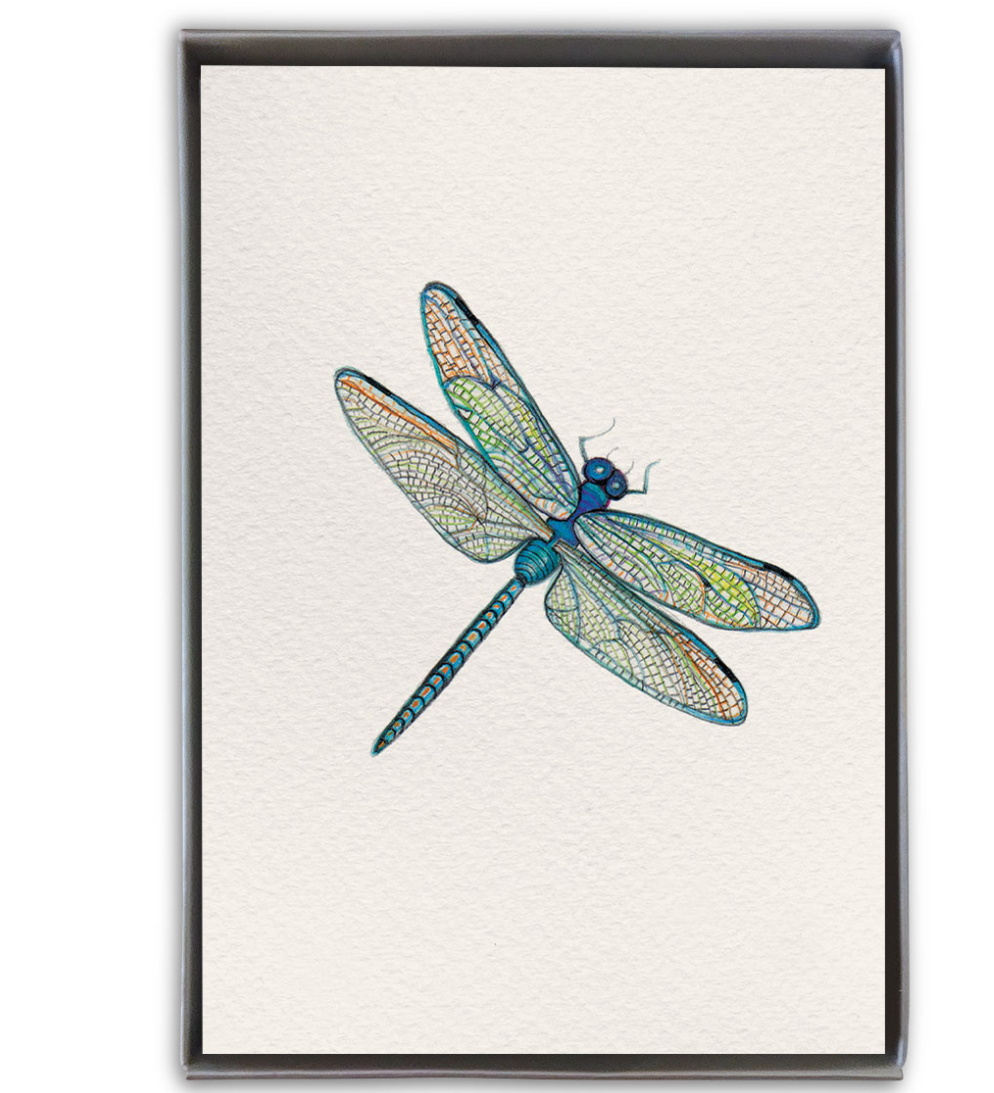 Be Charmed dragonfly boxed cards – elegant stationery featuring watercolor dragonflies, beautifully boxed set for special notes, available at Be Charmed.