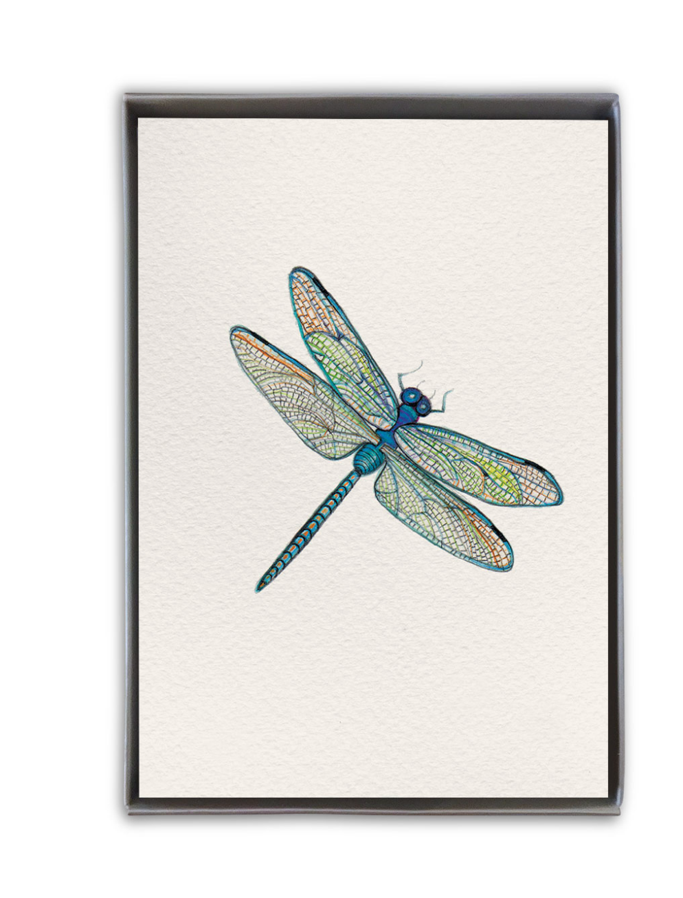 Be Charmed dragonfly boxed cards – elegant stationery featuring watercolor dragonflies, beautifully boxed set for special notes, available at Be Charmed.