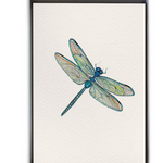 Be Charmed dragonfly boxed cards – elegant stationery featuring watercolor dragonflies, beautifully boxed set for special notes, available at Be Charmed.