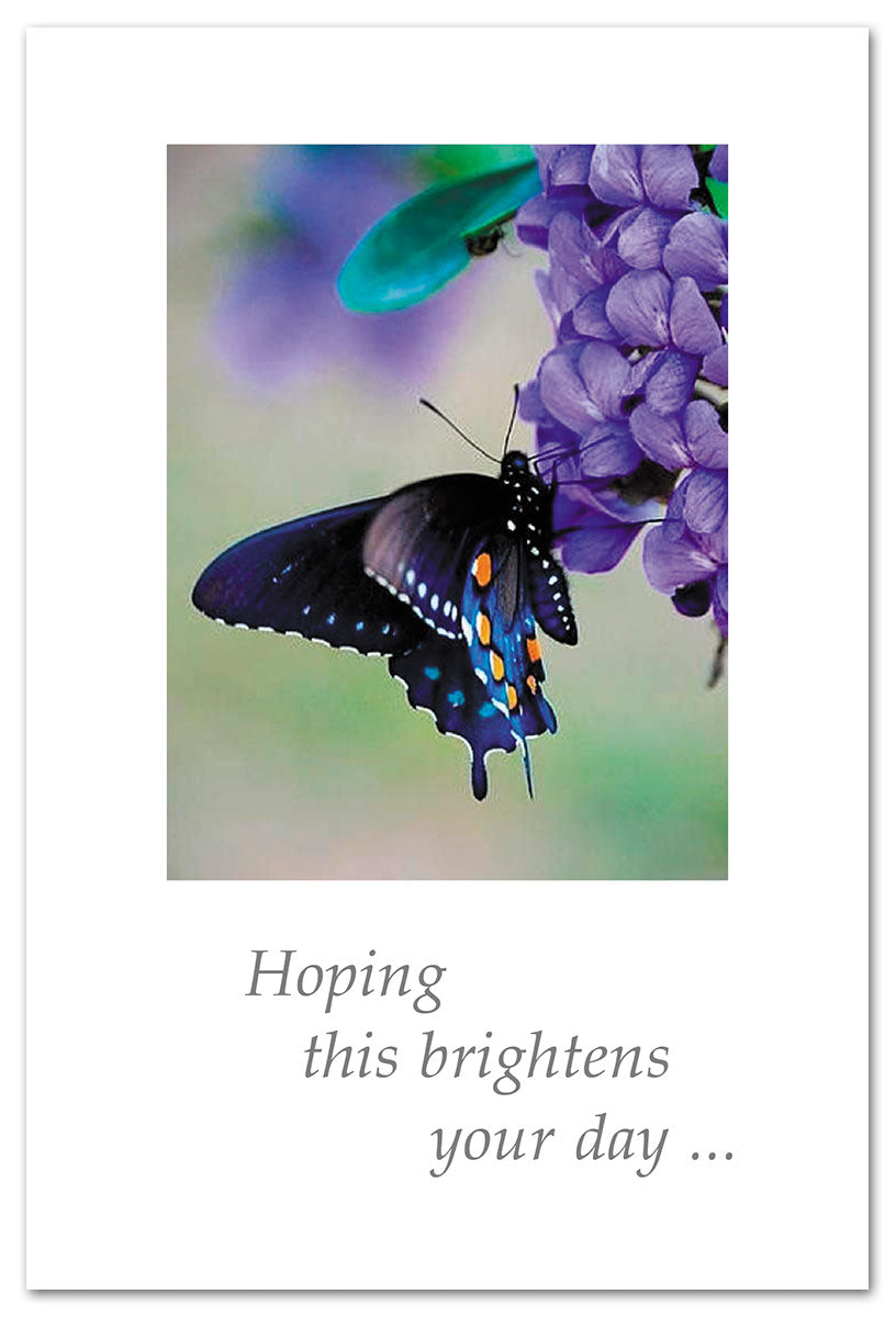 Greeting Card – delicate butterfly perched on purple hydrangea flowers with a heartfelt and uplifting message, perfect for support or sympathy, available at Be Charmed