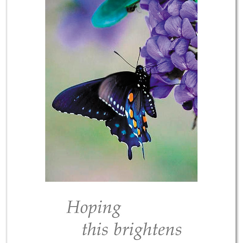 Greeting Card – delicate butterfly perched on purple hydrangea flowers with a heartfelt and uplifting message, perfect for support or sympathy, available at Be Charmed