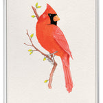 Boxed Cards – collection of greeting cards featuring vibrant red cardinal artwork with heartfelt messages for comfort and connection, available at Be Charmed