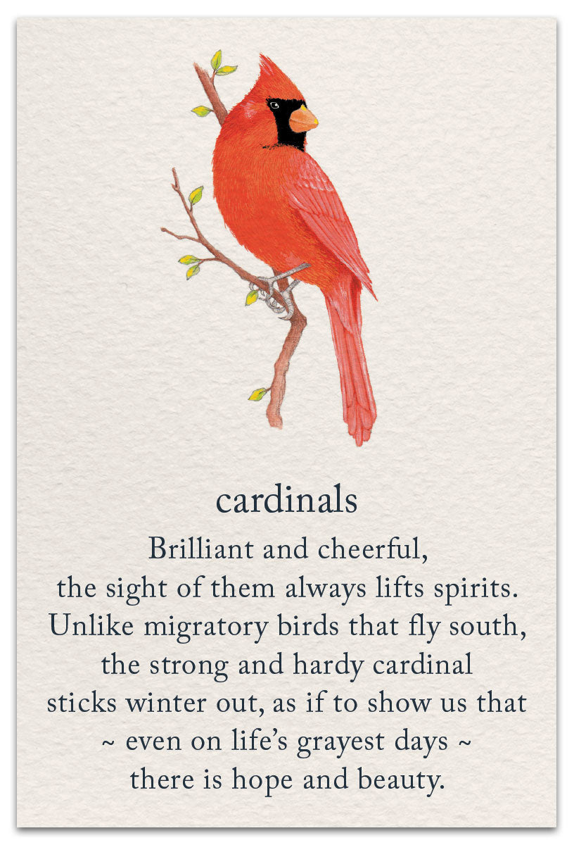 Friendship Card – vibrant red cardinal illustration with a heartfelt message celebrating enduring friendship, connection, and presence, available at Be Charmed