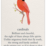 Friendship Card – vibrant red cardinal illustration with a heartfelt message celebrating enduring friendship, connection, and presence, available at Be Charmed