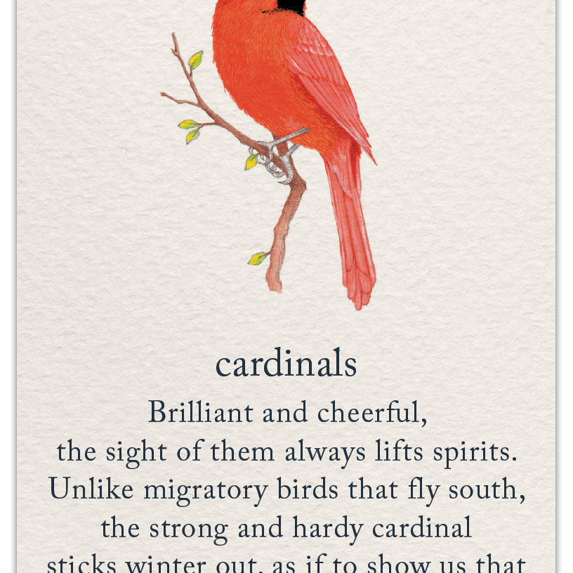 Friendship Card – vibrant red cardinal illustration with a heartfelt message celebrating enduring friendship, connection, and presence, available at Be Charmed