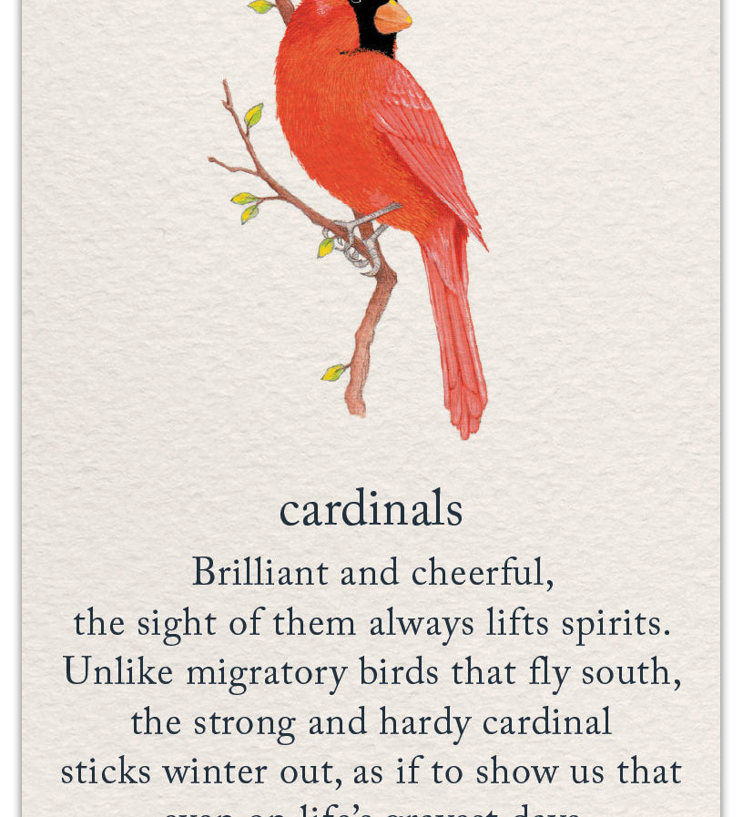 Friendship Card – vibrant red cardinal illustration with a heartfelt message celebrating enduring friendship, connection, and presence, available at Be Charmed