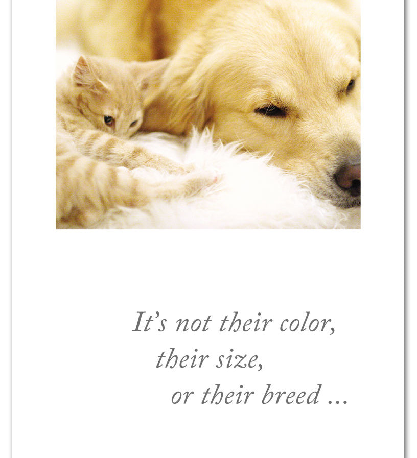 Pet Sympathy Card – tender illustration of a curled white cat and dog with a heartfelt message offering comfort for pet loss, available at Be Charmed