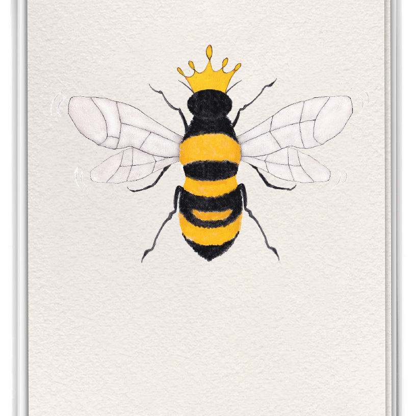 Queen Bee Boxed Cards by Cardthartic featuring stylish bee-themed greeting cards in a boxed set; available at Be Charmed
