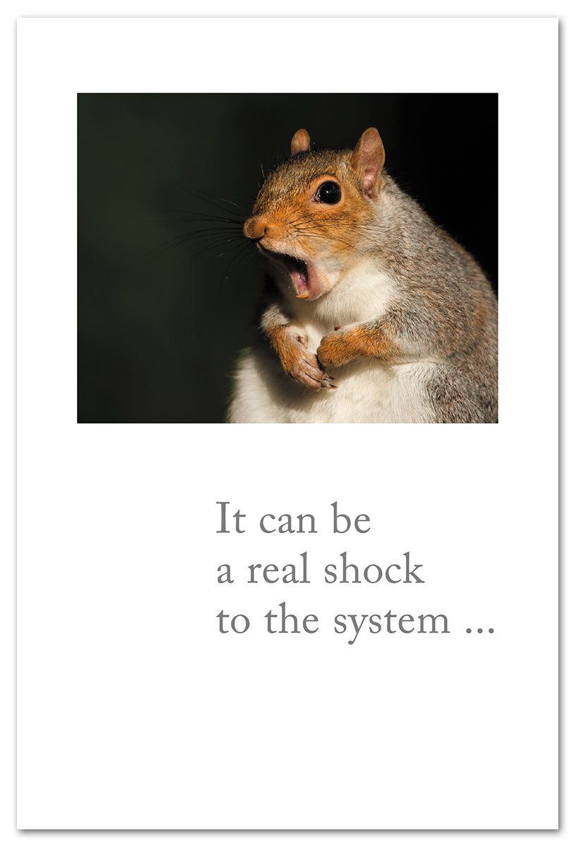Birthday Card – humorous card with wide-eyed scared squirrel artwork and a playful birthday message, great for a fun celebration, available at Be Charmed