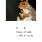 Birthday Card – humorous card with wide-eyed scared squirrel artwork and a playful birthday message, great for a fun celebration, available at Be Charmed