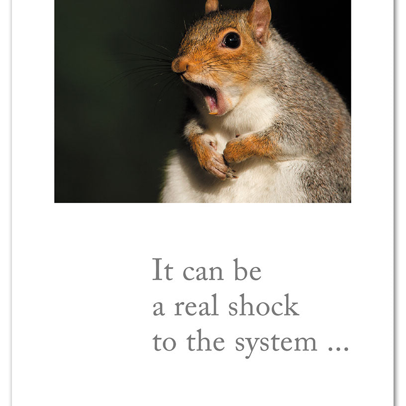 Birthday Card – humorous card with wide-eyed scared squirrel artwork and a playful birthday message, great for a fun celebration, available at Be Charmed