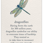 Encouragement Card Dragonfly by Cardthartic featuring an inspiring message with a dragonfly design symbolizing strength and hope; available at Be Charmed