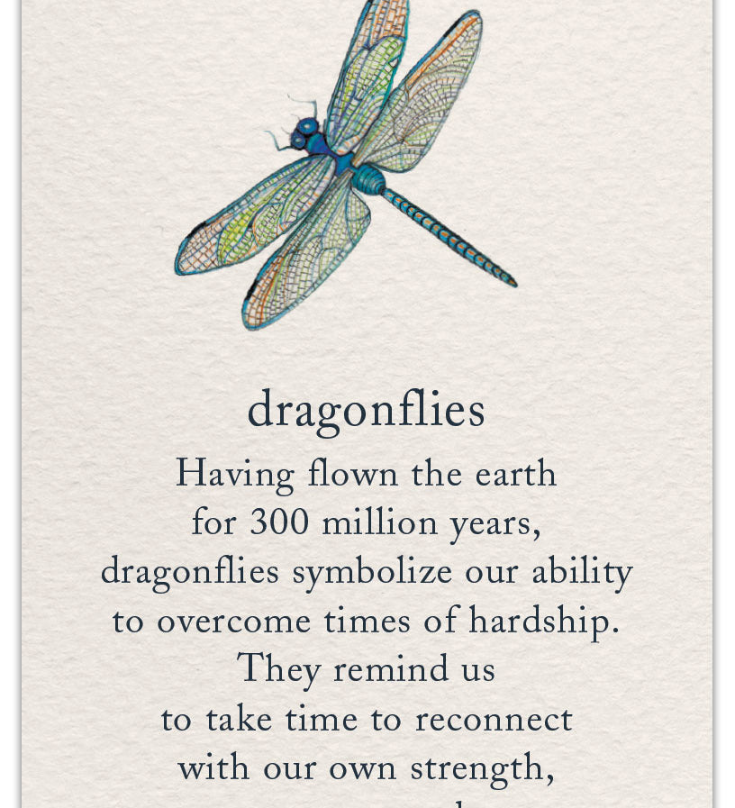 Encouragement Card Dragonfly by Cardthartic featuring an inspiring message with a dragonfly design symbolizing strength and hope; available at Be Charmed