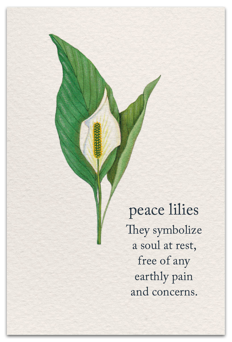 Cardthartic Sympathy Card “Peace Lilies” with delicate floral design and heartfelt message, available at Be Charmed for sincere condolences