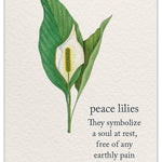 Cardthartic Sympathy Card “Peace Lilies” with delicate floral design and heartfelt message, available at Be Charmed for sincere condolences