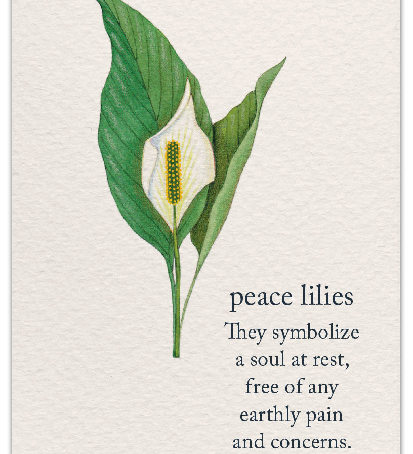 Cardthartic Sympathy Card “Peace Lilies” with delicate floral design and heartfelt message, available at Be Charmed for sincere condolences