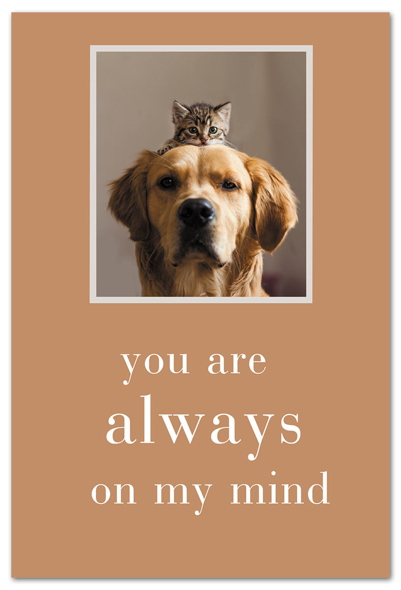Thinking of You Always on My Mind greeting card by Cardthartic featuring heartfelt message design; available at Be Charmed
