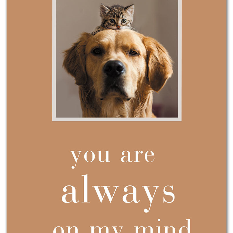 Thinking of You Always on My Mind greeting card by Cardthartic featuring heartfelt message design; available at Be Charmed