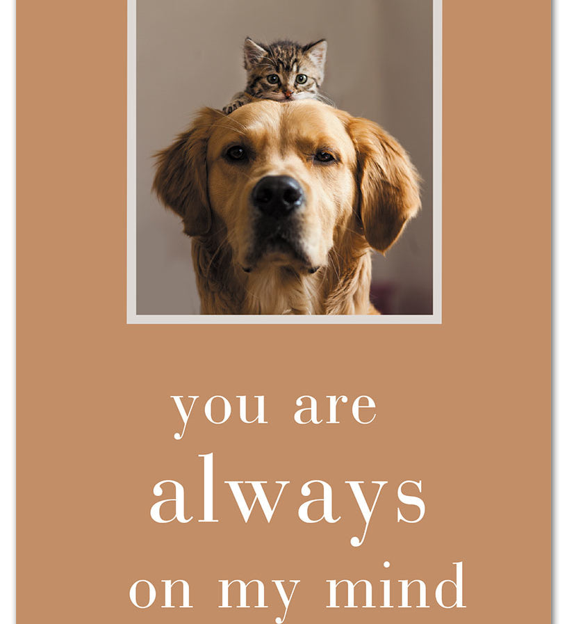 Thinking of You Always on My Mind greeting card by Cardthartic featuring heartfelt message design; available at Be Charmed